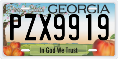 GA license plate PZX9919