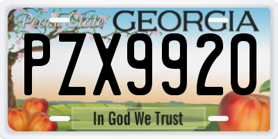 GA license plate PZX9920