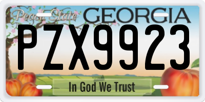 GA license plate PZX9923