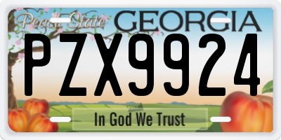 GA license plate PZX9924