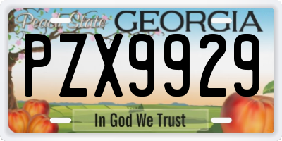 GA license plate PZX9929
