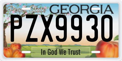 GA license plate PZX9930