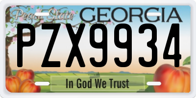 GA license plate PZX9934