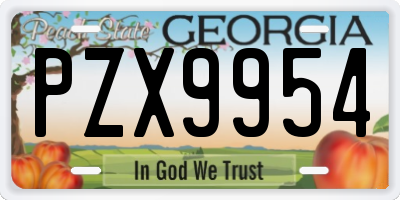 GA license plate PZX9954