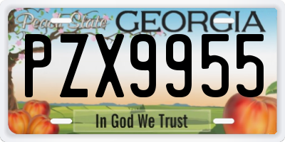 GA license plate PZX9955