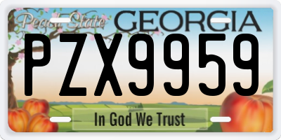 GA license plate PZX9959