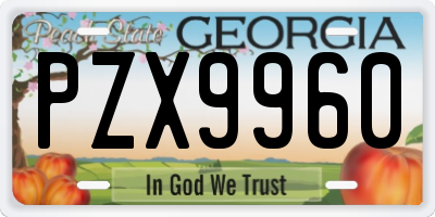 GA license plate PZX9960