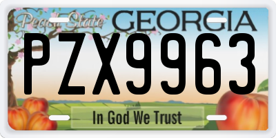GA license plate PZX9963
