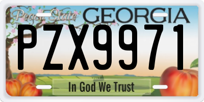 GA license plate PZX9971