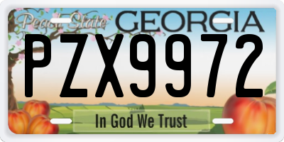 GA license plate PZX9972