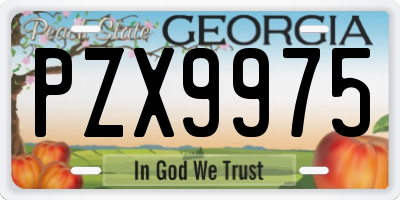 GA license plate PZX9975