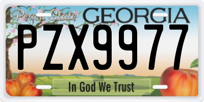 GA license plate PZX9977