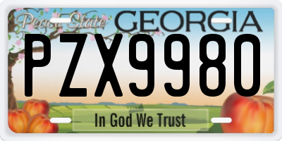 GA license plate PZX9980
