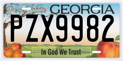 GA license plate PZX9982