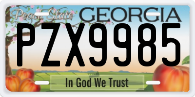 GA license plate PZX9985