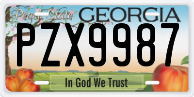GA license plate PZX9987