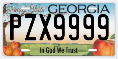 GA license plate PZX9999