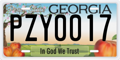 GA license plate PZY0017