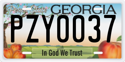GA license plate PZY0037