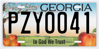 GA license plate PZY0041