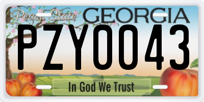 GA license plate PZY0043