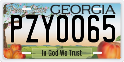 GA license plate PZY0065