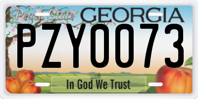 GA license plate PZY0073
