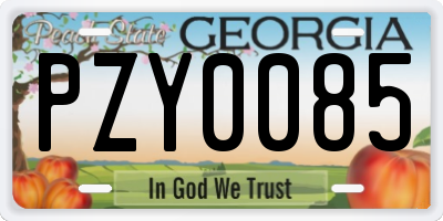 GA license plate PZY0085