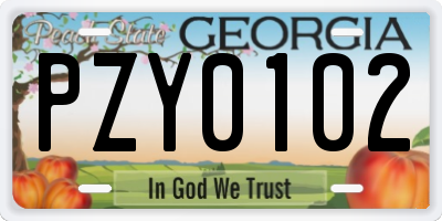 GA license plate PZY0102