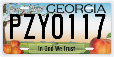 GA license plate PZY0117