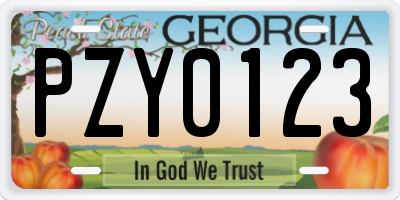 GA license plate PZY0123
