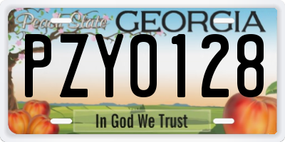 GA license plate PZY0128