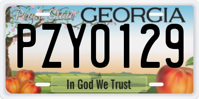 GA license plate PZY0129