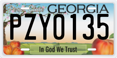 GA license plate PZY0135