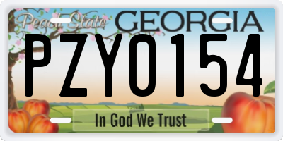 GA license plate PZY0154