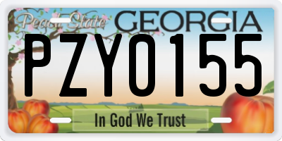 GA license plate PZY0155