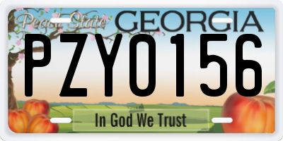 GA license plate PZY0156