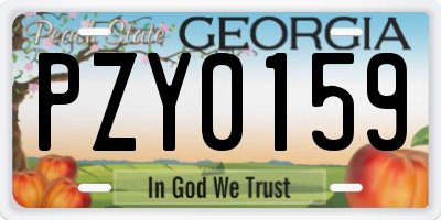GA license plate PZY0159