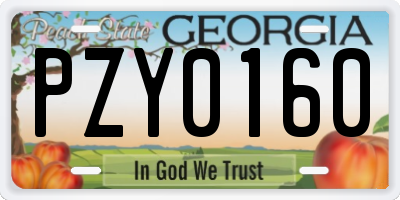 GA license plate PZY0160