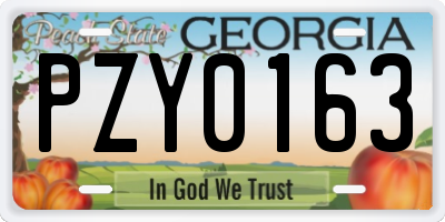 GA license plate PZY0163