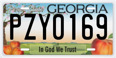 GA license plate PZY0169