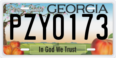 GA license plate PZY0173