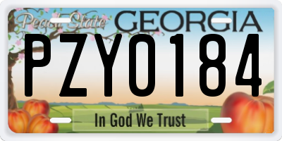 GA license plate PZY0184