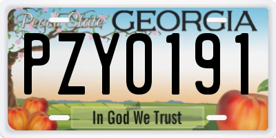 GA license plate PZY0191