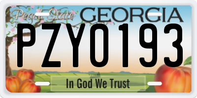 GA license plate PZY0193