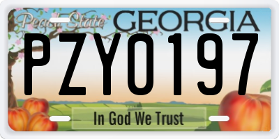 GA license plate PZY0197