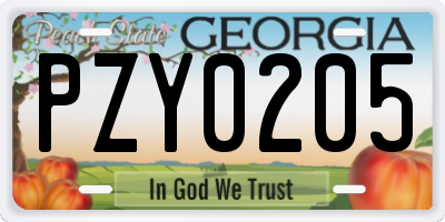 GA license plate PZY0205