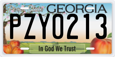 GA license plate PZY0213