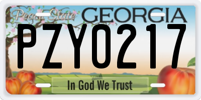 GA license plate PZY0217