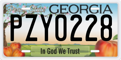 GA license plate PZY0228